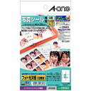 エーワン｜A-one はがきサイズのプリンタラベル 角型 白無地 29603 [はがき /12シート /6面 /光沢]