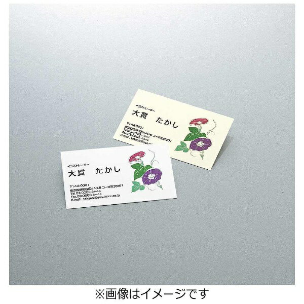 KOKUYO�å����� ̾���ѻ� 100�� (A4������ 10�̡�10������) �ʥ������� KPC-VE10W[KPCVE10W]