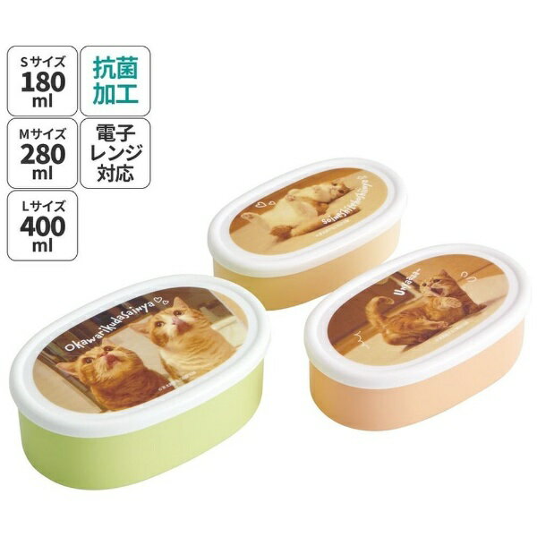 Lunch Boxes - Skater｜スケーター シール容器 3個セット 茶太郎 きなこ