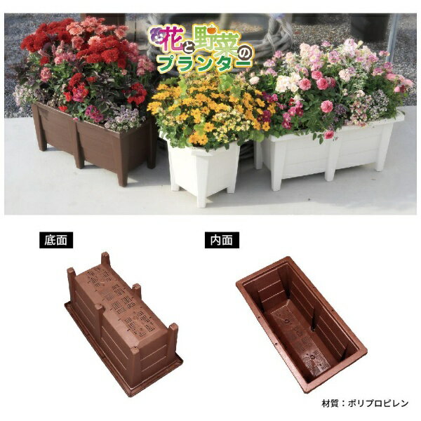 ���åץ륦������ �֤���ڤΥץ�󥿡� 600�� �֥饦�� 319721