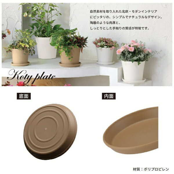 ���åץ륦������ ���ƥ��ץ졼�� 190�� �֥饦�� 431775