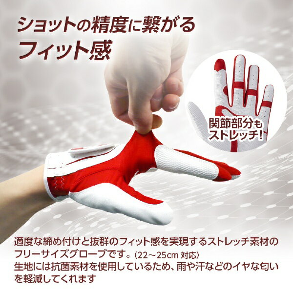 �����䥴��� ������ե꡼�������������� �����䥴��� GL-5001 [��� /��������(���Ǥ���) /�ե꡼������]