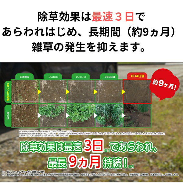クサノンEX粒剤（400g）KINCHO園芸｜KINCHO garden products