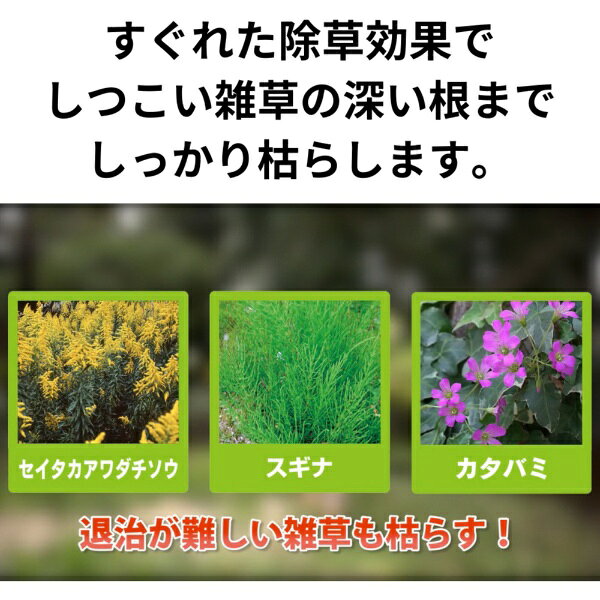 草退治メガロングシャワー（1000ml）KINCHO園芸｜KINCHO garden products