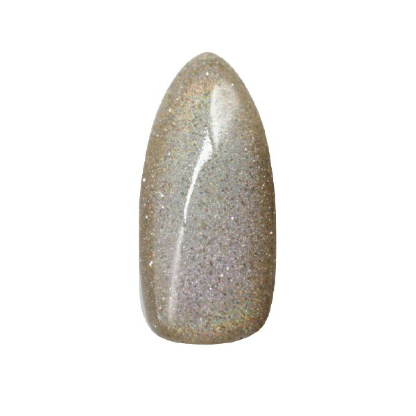 SIC｜エスアイシー MGEL フラッシュ×マグネットネイル　Z031