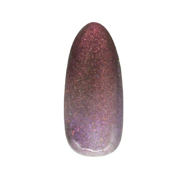 Nail - SIC｜エスアイシー MGEL マグネットネイル　Z515