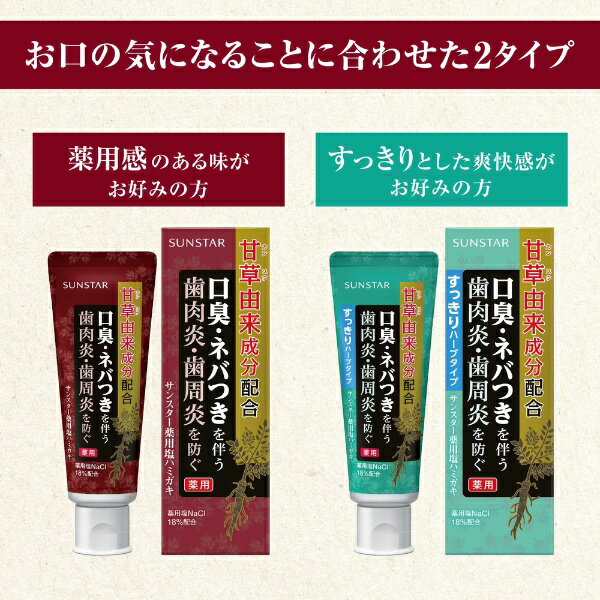 サンスター｜SUNSTAR 薬用塩ハミガキ すっきりハーブタイプ 85g
