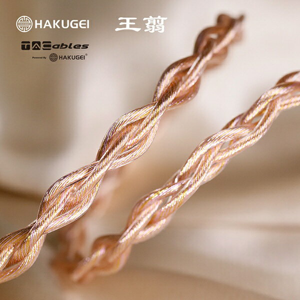 TACable powered by HAKUGEI｜タッカブル パワード バイ ハクゲイ リケーブル 王翦...