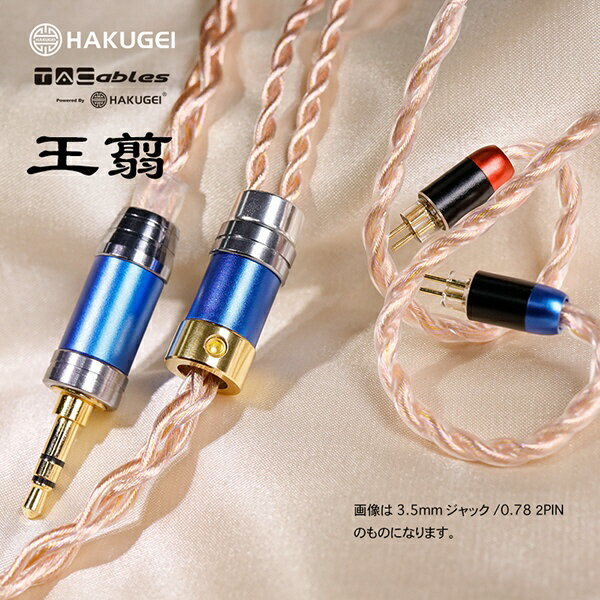 TACable powered by HAKUGEI｜タッカブル パワード バイ ハクゲイ リケーブル 王翦...