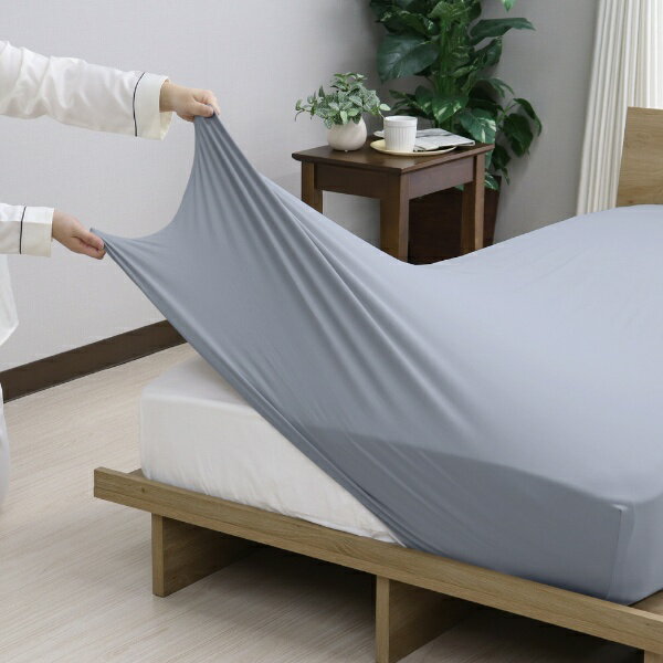 �罡��DAISOU �ڥ����ġۤΤӤΤӥե��åȥ����� SD��D������ ��110x180x38cm �֥롼 962073/BL [���ߥ��֥륵����]