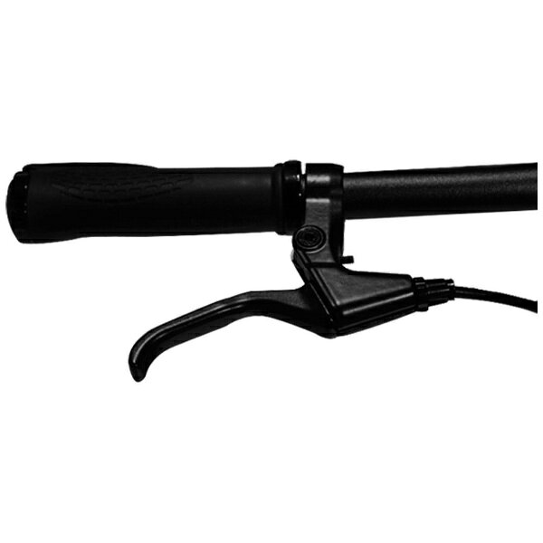 RICHBIT｜リッチビット 電動アシスト自転車 RICHBIT CITY ASSIST レンジャーグリー...