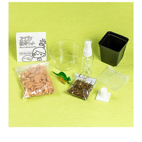 �ӥå���������BigArrow �ӥå������� ���ʥ������ݥ��å��ݺ���ƻ bigarrow-saibaikitin