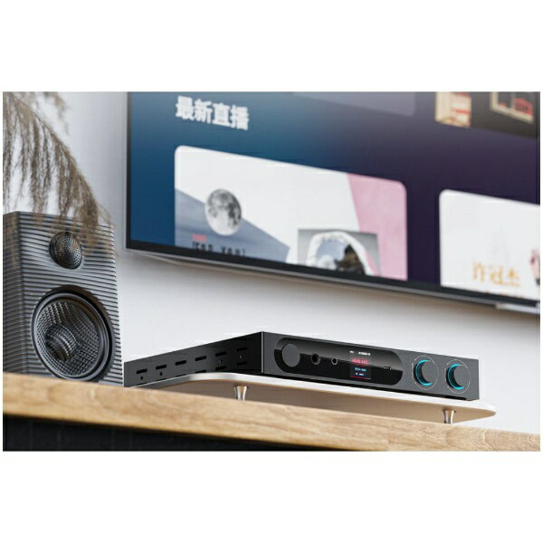 FIIO�åե����� �إåɥۥ󥢥�� �֥�å� FIO-K19-B [DAC��ǽ�б�]