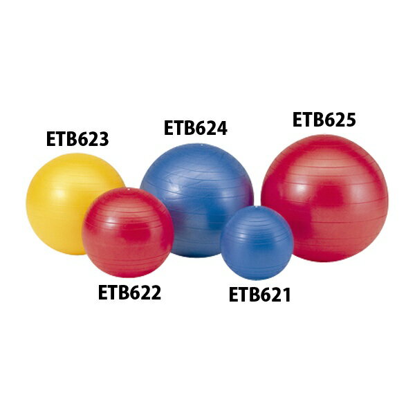 エバニュー｜EVERNEW ジムボール65 青 ETB624