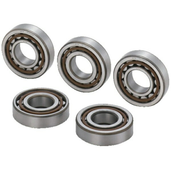 NTN｜エヌティーエヌ NTN エントウコロジクウケ NUガタ ナイリンケイ55mm