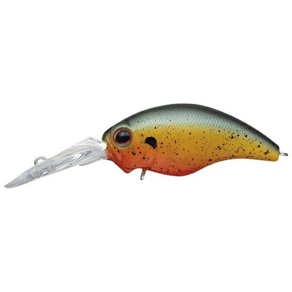 �G�o�[�O���[���bEVERGREEN ���A�[ ���C���h�n���` #381�u���[�f�B���O�T���t�B�b�V�� E117100381