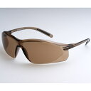ERICA OPTICAL|エリカ オプチカル EYE CARE GLASS 保護メガネ (Sサイズ) EC-01S ダークブラウン