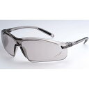 ERICA OPTICAL|エリカ オプチカル EYE CARE GLASS 保護メガネ (Sサイズ) EC-01S グレー