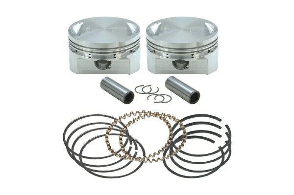 �G�X�A���h�G�X�T�C�N���bS&S Cycle Inc �b���s�X�g���Z�b�g+0.010 BT 84-99 106-5555