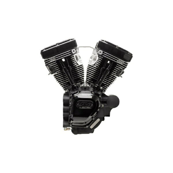 エスアンドエスサイクル｜S&S Cycle Inc T124 エンジンASSY BLK ED TOURING 07-16 310-0836A biccamera-14817600 楽天ビック(ビックカメラ×楽天) パッケージ画像