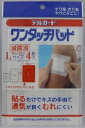 阿蘇製薬|ASO Pharmaceutical デルガード ワンタッチパッド Lサイズ 4枚入(4)