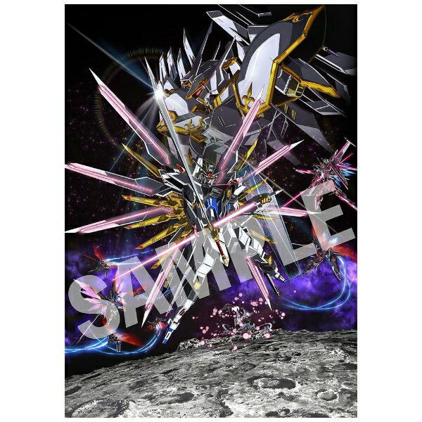 【メーカー特典付き】【2024年12月25日発売】 バンダイナムコフィルムワークス｜Bandai Namco Filmworks 機動戦士ガンダムSEED FREEDOM【DVD】 【代金引換配送不可】のサムネイル