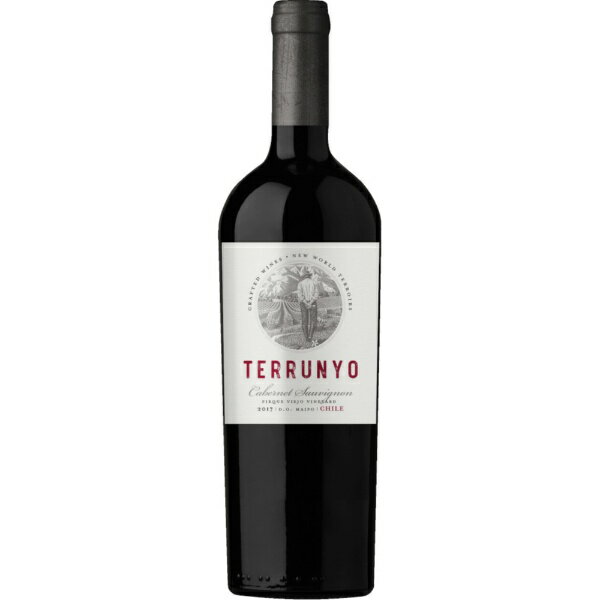 チリ｜Chile コンチャ・イ・トロ テルーニョ カベルネ・ソーヴィニヨン 750ml 【赤ワイン】 【代金引換配送不可】