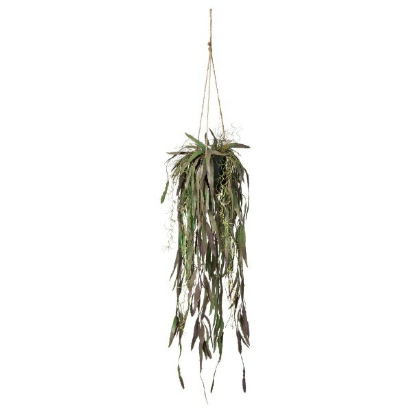 Leafy Plants - アスカ商会｜ASCA COMPANY フェイクグリーン　ハンギングカクタス　グリーンパープル A-51097-053P