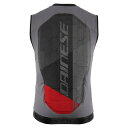 ダイネーゼ|DAINESE メンズ スキーセーフティベスト FLEXAGON WAISTCOAT 2 MAN(Mサイズ) SILVER-FILIGREE/CASTLE-ROCK 48700003