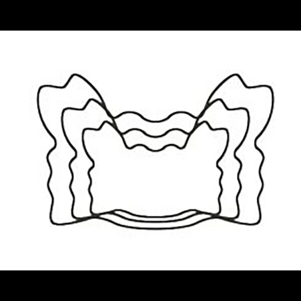 たかもり｜Takamori たかもりの生抜 かに 中 #2
