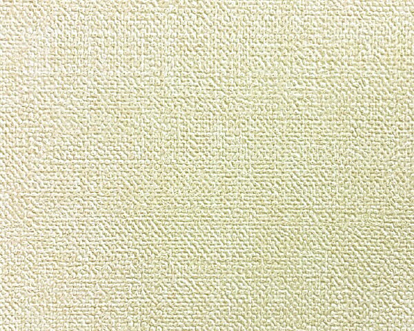 リンテックコマース｜Lintec Commerce PIW03AS ペットと一緒壁紙03AS 210×297/2P