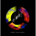 エイベックス エンタテインメント｜Avex Entertainment globe/globe EDM Sessions 【CD】 【代金引換配送不可】