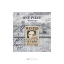 JM|ジェイ・エム OP24TAC07ONEPIECE新手配書 アクリルクリップ ロビン