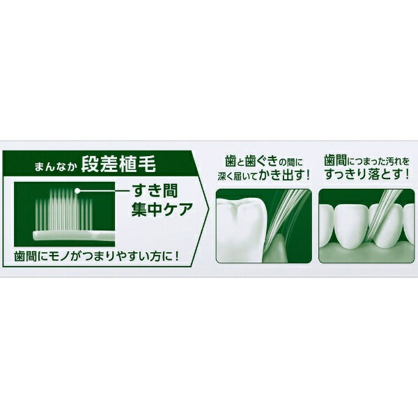 花王|Kao ディープクリーン 歯ブラシ コン...の紹介画像3