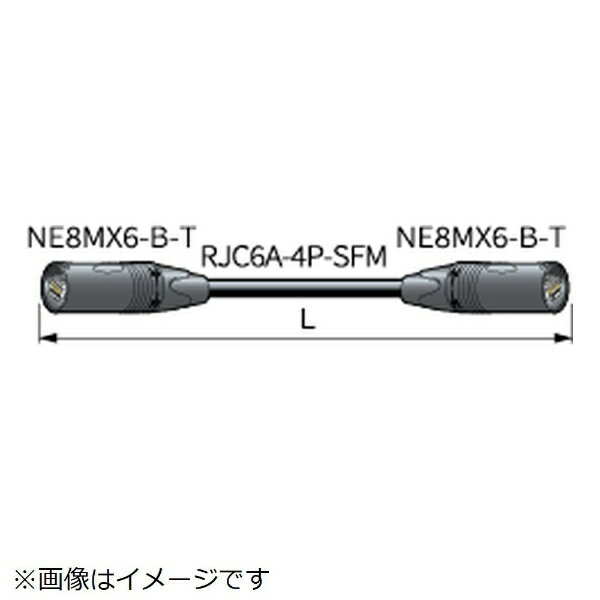 CANARE｜カナレ電気 30m 移動用LANケーブル（カテゴリ6A） イーサコン - イーサコン ブラック ETC6A-30-N [カテゴリー6A /スタンダード]