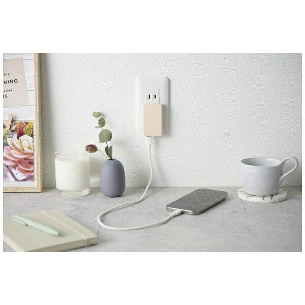 CIO�å����������� CIO Mate Charger 003 ������ԥ� MATE-CH003-SPK