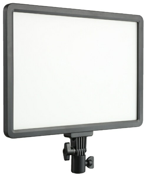 JINBEI｜ジンベイ LEDライト P30BI