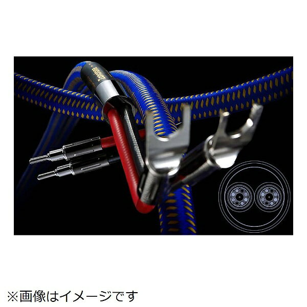 ZONOTONE�å��Υȡ��� 5.0m ���ԡ����������֥� Y-Yü�� Royal Spirit SP-1 5.0Y-Y [5.0m]