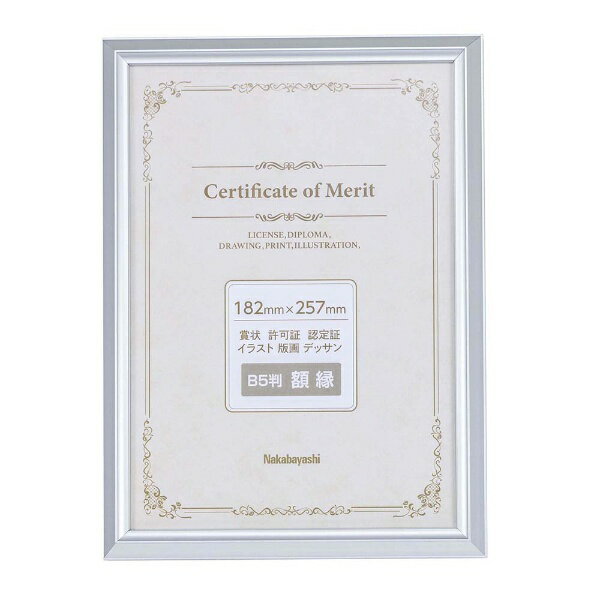 ナカバヤシ｜Nakabayashi アルミ製賞状額 B5（JIS規格）