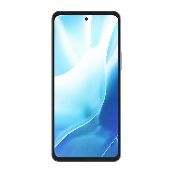 FCNT｜エフシーエヌティー 【SIMフリー】arrow We2 Plus M06 arrows We2 Plus M06 (ASMC06003) スレートグレイ ASMC06003