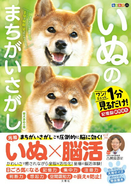 文響社｜Bunkyosha 毎日脳活スペシャル いぬのまちがいさがし 柴犬多めの巻