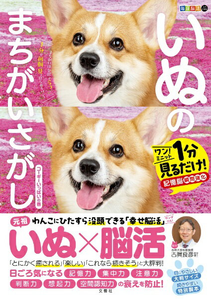 文響社｜Bunkyosha 毎日脳活スペシャル いぬのまちがいさがし コーギーいっぱいの巻
