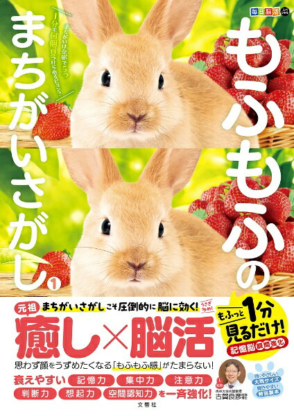 文響社｜Bunkyosha 毎日脳活スペシャル　もふもふのまちがいさがし1