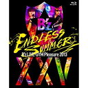 ビーイング｜Being B’z/B’z LIVE-GYM Pleasure 2013 ENDLESS SUMMER -XXV BEST- 完全盤 【ブルーレイ ソフト】 【代金引換配送不可】