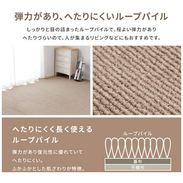 乐天商城 - 萩原｜HAGIHARA ペットにやさしい抗菌カーペット　ステラ　江戸間4．