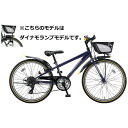 ブリヂストン|BRIDGESTONE 22型 子供用自転車 クロスファイヤージュニア(外装7段変速) ダイナモランプモデル P.Xコスモバイオレット CFJ2252025年モデル【キャンセル・返品不可】 【代金引換配送不可】(4)