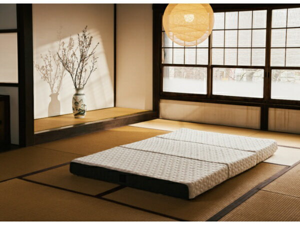 今の寝具に満足できてますか？至福のフィット感で、贅沢な睡眠を。日本ではあまり馴染みのない「天然ラテックス」製のマットレスですが、実はヨーロッパ諸国では100年以上も前から最高級寝具として愛用されています。ラテックス製のマットレスはやわらかく...