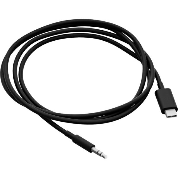 Inner Ear Type - SONOS｜ソノス Sonos Ace Auxケーブル Black USB35WW1