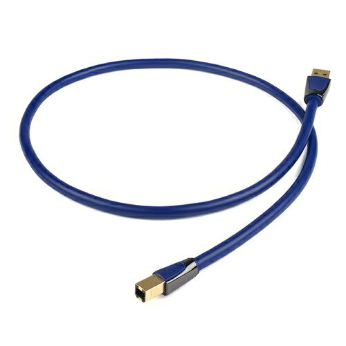 THE CHORD COMPANYåɥѥˡ 3m USB֥ Clearway USB [3.0m]