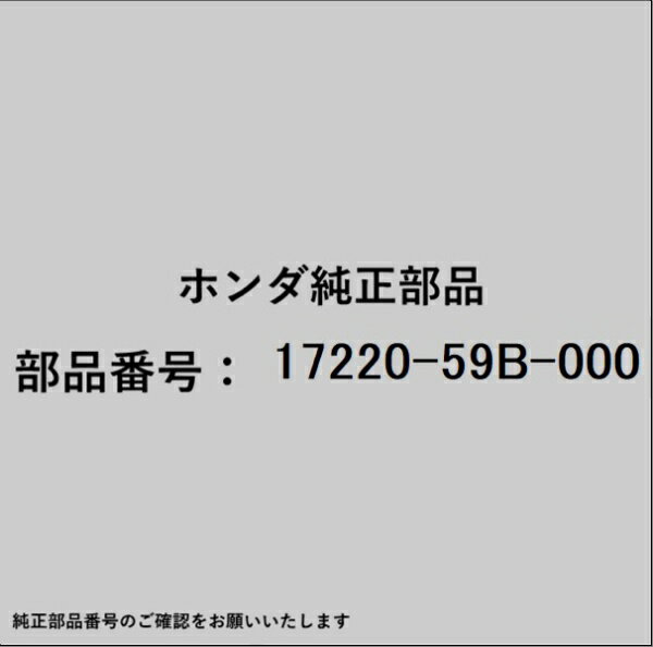HONDA｜ホンダ ホンダ・honda純正部品 17220-59B-000 エレメント